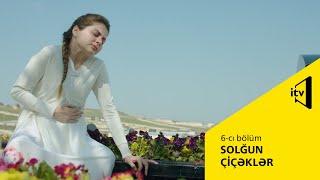 Solğun çiçəklər 6-cı bölüm