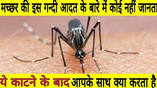 मच्छर की इस गन्दी आदत के बारे में कोई नहीं जानता|mosquito bad habit amazing fact|#short