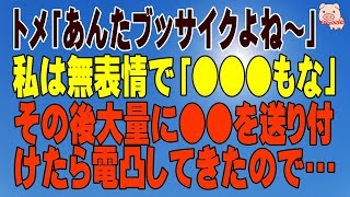 【スカッとする話 Ⅱ】トメ「あんたブッサイクよね～」私は無表情で「●●●もな」。その後大量に●●を送り付けたら電凸してきたので･･･（スカッとんCH）