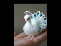 beautiful baby peacock 🦚🦚🦚🤩🤩🤩