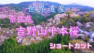 【ドローン空撮(4K映像)】奈良県吉野山千本桜（45秒バージョン）　＜空撮ドローン：DJI社 Mavic2 Pro＞