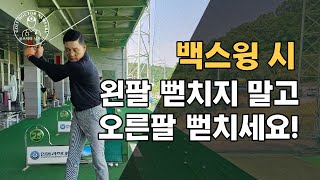 [노턴스윙 배우기6편]백스윙 시 왼팔을 뻗치려 하지 말고 오른팔을 뻗치세요