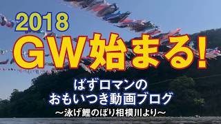 2018GW始まる！ ~泳げ鯉のぼり相模川より~