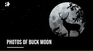 Photos Of Buck Moon From Around The World #Shorts