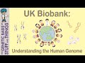 How the UK BIOBANKrolled the future of human genetic research