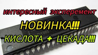 ИМПОРТНЫЕ МИКРОСХЕМЫ 450 ГРАММ , ЭКСПЕРИМЕНТ , ХОРОШИЙ РЕЗУЛЬТАТ...