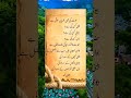 urdu qoutes aurat ki 3 khubian hoti hain qoutes shortsfeed shortvideo