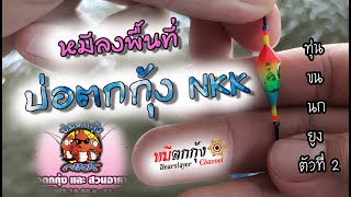 หมีลงพื้นที่ บ่อตกกุ้ง NKK