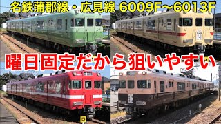 【解説】名鉄蒲郡線・広見線の彩り豊かな6000系たち 実は何色が何曜日に走るかが固定されている！ 6000系の次車別解説も！