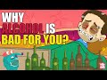 Why Alcohol Is Bad For You? | Side Effects Of Alcohol | The Dr Binocs Show | Peekaboo Kidz