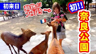 【初来日】動物が大好きなフランス人母を奈良公園に連れて行ったら想像以上に驚いた！