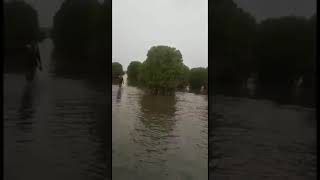 Kavvayi kayaking at gods own island camping