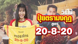 ‘ปุ๋ยตรามงกุฎ สูตร 20-8-20’ สุดยอดปุ๋ย บำรุงต้น ผลผลิตดี มีคุณภาพสูง