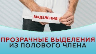 Прозрачные выделения из полового члена