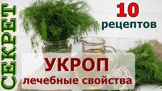 От каких болезней помогает укроп 💊 Лечебные свойства укропа