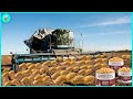 How Peanut Butter Is Made, Peanut Harvesting And Processing | Modern Agriculture