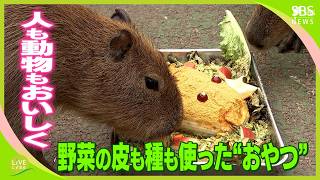 「人間と動物、隔てなく同じものをおいしく」野菜の皮や種も全部使った新しいおやつ【SDGs】