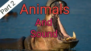 Animals sound | learn Animal sound | jaanwaro ka sound #nurseryrhymes #song #poem #hindi