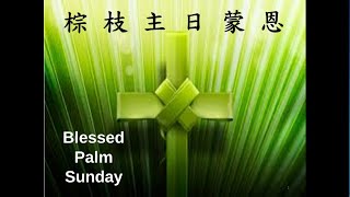 棕枝主日 Palm Sunday (10am)