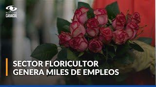 Colombia se prepara para exportar flores en San Valentín