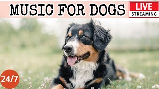 [LIVE] Dog Music🎵Relaxing Soothing Music for Dogs🐶🎵Anti Separation anxiety relief music💖Dog Sleep🔴3