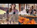 Autumn Vibes: My Daily Routine