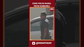 Rahul Gandhi Picks Rae Bareli, Congress Fields Loyalist Kl Sharma From Amethi