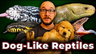 5 More Reptiles That Act Like Dogs | No Fur, No Allergies, Just Love!