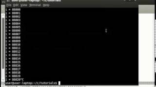 C Tutorial #6 - The for loop