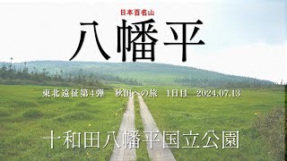 【日本百名山】秋田・岩手県境の八幡平山頂ハイキング　#一周2時間　#高山植物　#鏡沼　#八幡沼