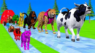 Paint \u0026 Animals Cow,Rabbit,Leopard,Dog,Turtle,T-Rex Fountain Crossing Transformation Animal Cartoon