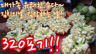 김치의날에 올리는 김장영상 대가족이 함께하는 유쾌한 수다 320포기!! Korea Kimchi Gimjang