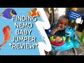 2022 BABY JUMPER REVIEW! PROS AND CONS OF THE FINDING NEMO JUMPER