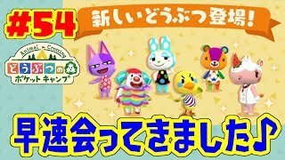 ポップと新しい仲間！【ポケ森】#55 ポップと新どうぶつがやってきた！【3号】