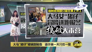 大马“猪仔”被骗到秘鲁   全国总警长： 欲揪出招募人及涉案者！ | 八点最热报 10/10/2023