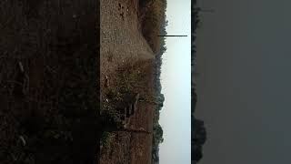 4 Bigha land for sale in Chowki Dholesh, Vikasnagar Dehradun uttarakhand