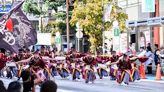 躍動 | 東京よさこい２０２４（アゼリア通り会場）