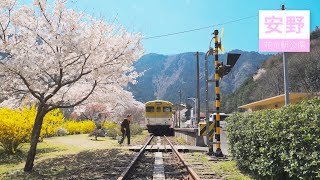 安野 花の駅公園