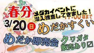 【メダカ】メダカイベントを潜入捜査してみた！