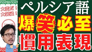 ペルシャ語「大袈裟だ/大変だ」の表現 イラン人が爆笑してくれるオモシロいフレーズのご紹介です 外国人が使うと驚いてくれるだけでなく爆笑もしてくれる鉄板フレーズを一緒に勉強していきましょう