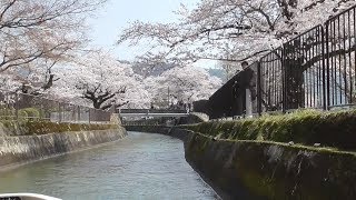 琵琶湖疏水船　京都・蹴上～滋賀・大津の上り第2便に乗船　Lake Biwa canalic ship　Keage in Kyoto~Otsu in Shiga