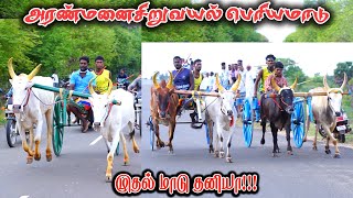 நடுமாடு-அரண்மனைசிறுவயல்-பந்தயம்_26-09-2023