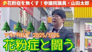 山田太郎参議院議員 秋葉原街宣 花粉症と闘う