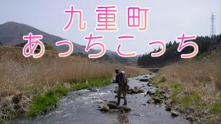 R5.4.18.大分県 九重町 ヤマメ河川調査　Yamame fishing river survey in Oita Prefecture