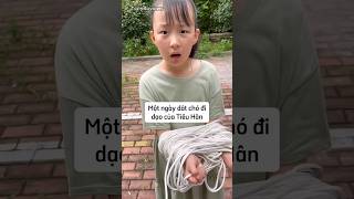 Một ngày dắt chó cưng đi dạo của Tiểu Hân #shorts