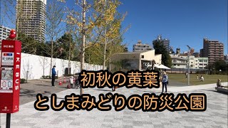 初秋の黄葉　としまみどりの防災公園