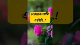 ভালোবাসার কিছু কথা শুধু তোমার জন্য।।ভালোবাসার কিছু রোমান্টিক কথা