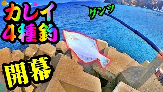 【釣り】カレイ４種釣・北海道・デカクロガシラ・マガレイ等・開幕：2023年