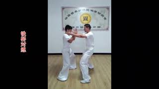 Fuzhou - Dragon Stake Boxing (龙桩拳) - Form: Iron Bridge, Partner Form (铁桥对练)