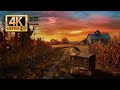 Scarecrow in a Cornfield 2024 🌽 Autumn Ambience 🍁 Relaxing Fall Nature Sounds 🌾 Winds Chimes & Crows